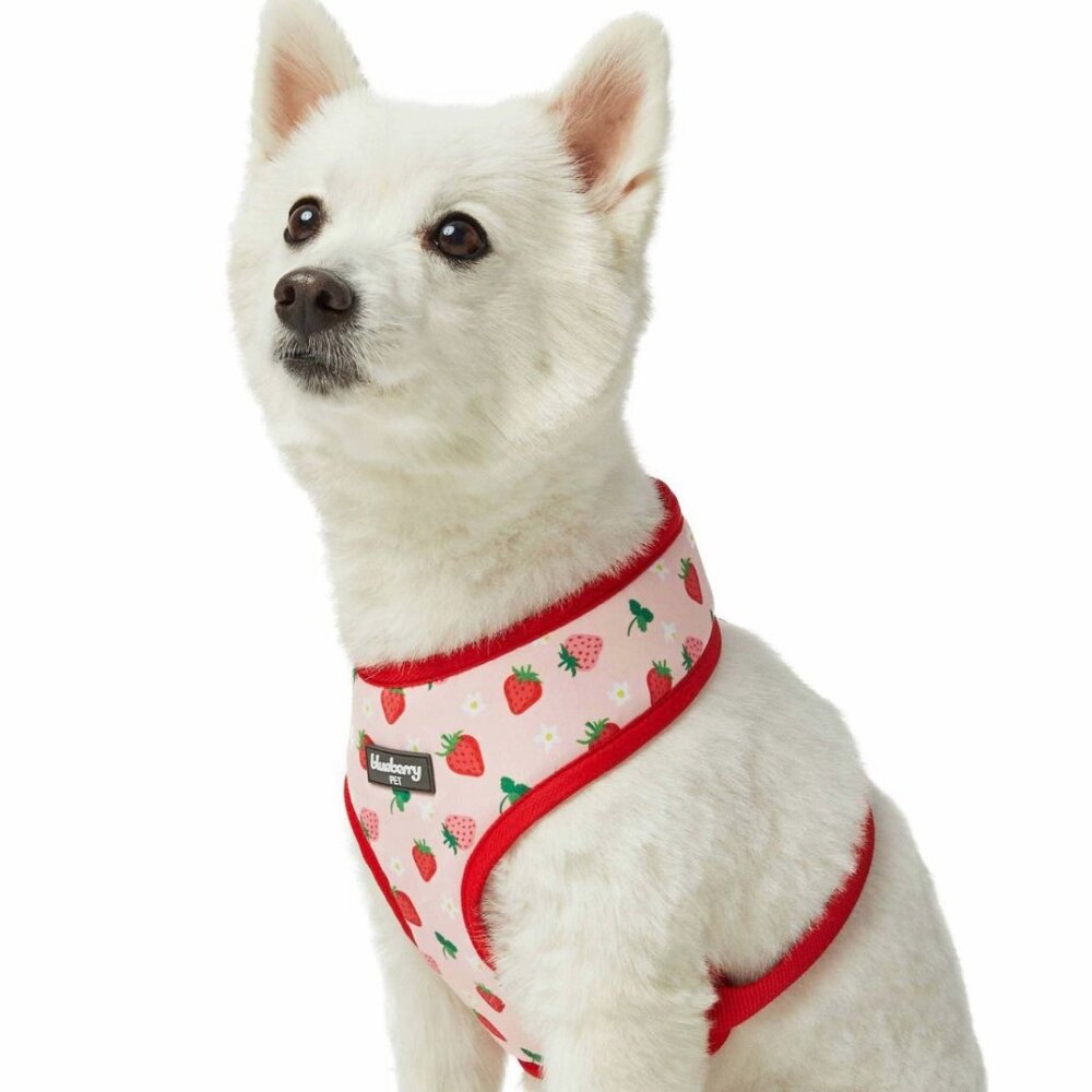 NWT - Blueberry Pet Zesty Fruit - Strawberry - Dog Harness - Size S and M